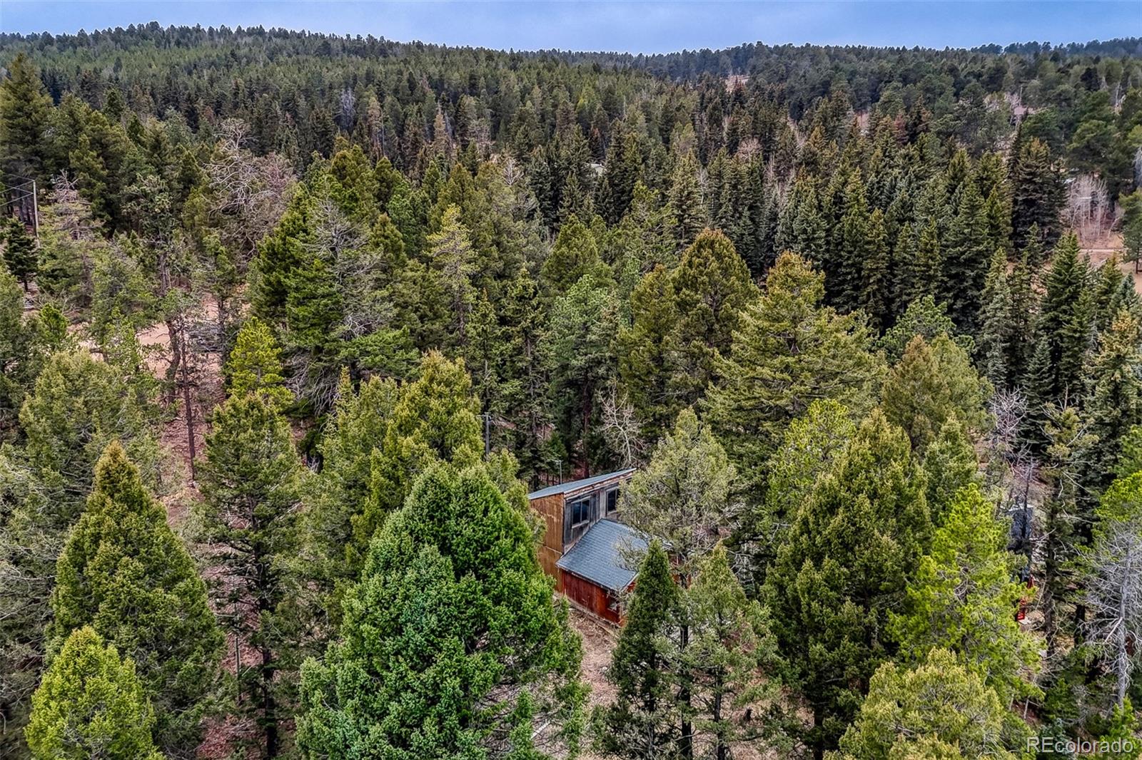 MLS Image #5 for 12096  elk trail road,conifer, Colorado
