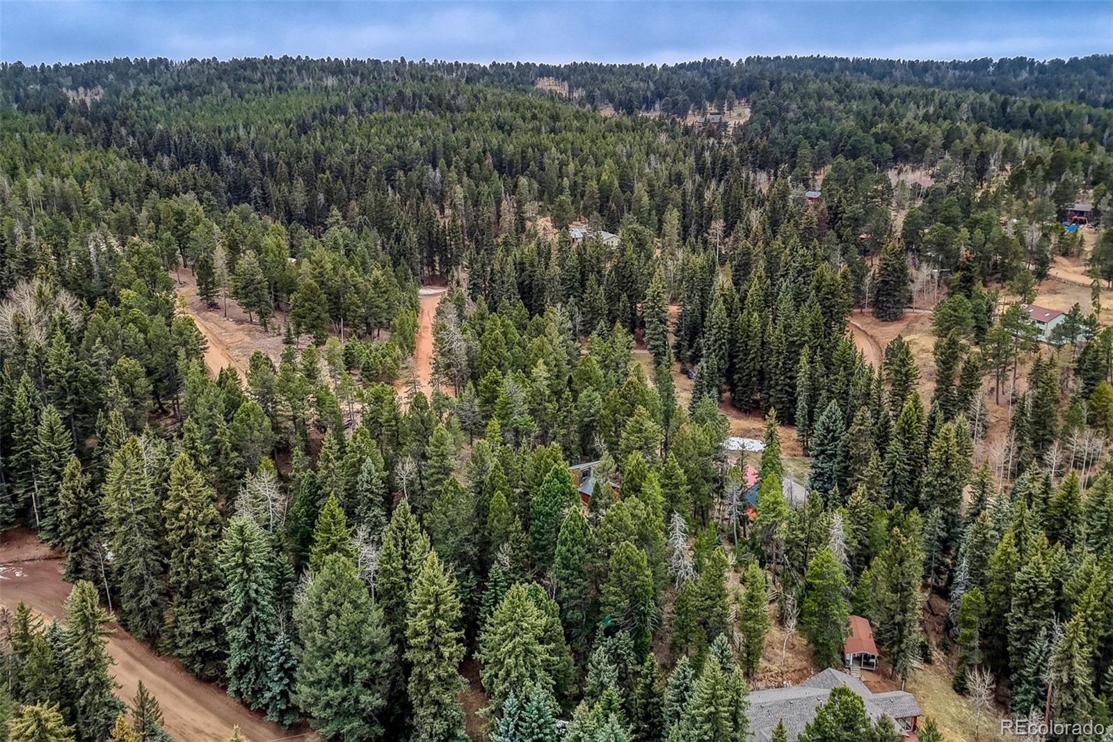 MLS Image #6 for 12096  elk trail road,conifer, Colorado