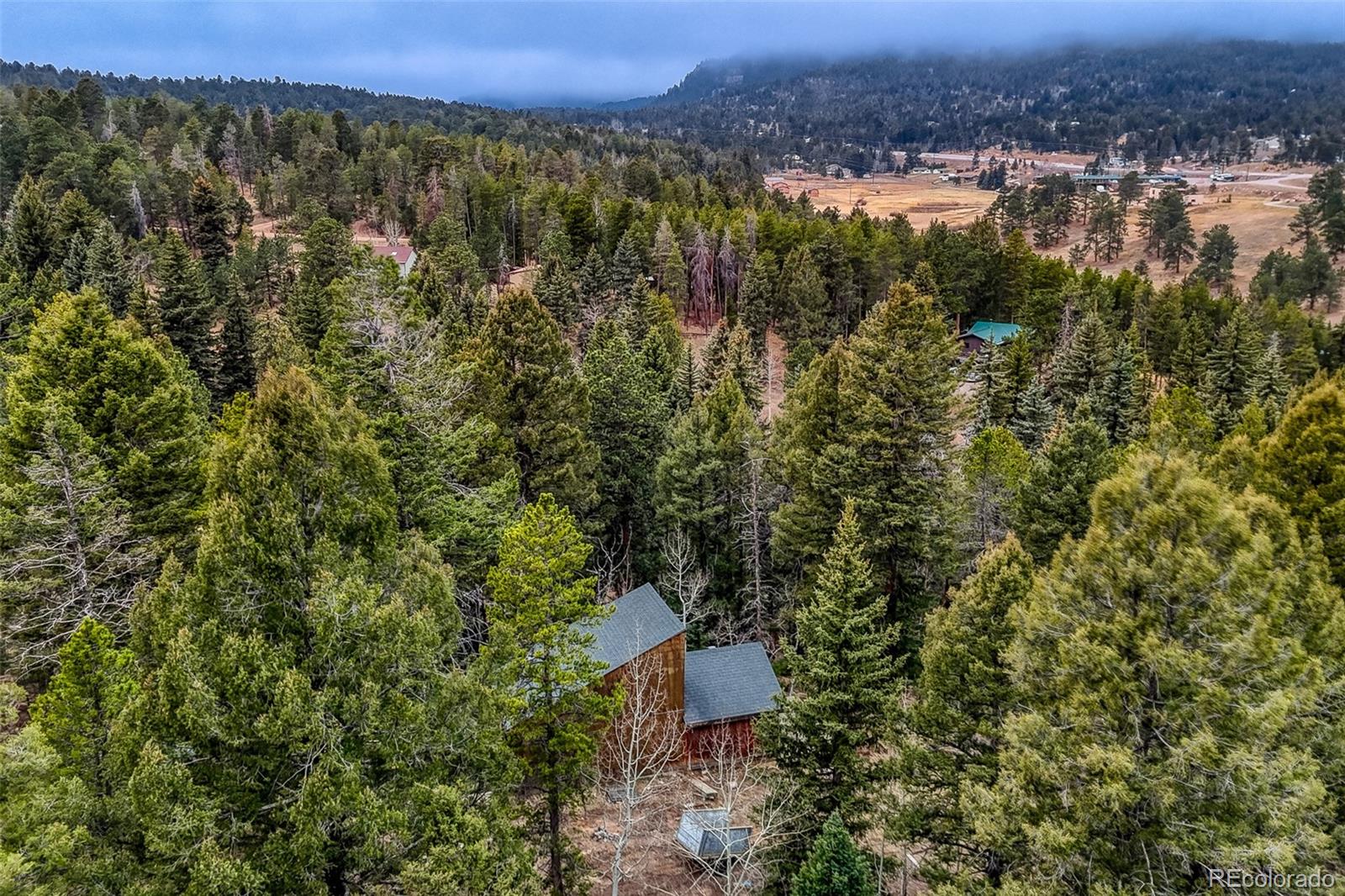 MLS Image #8 for 12096  elk trail road,conifer, Colorado