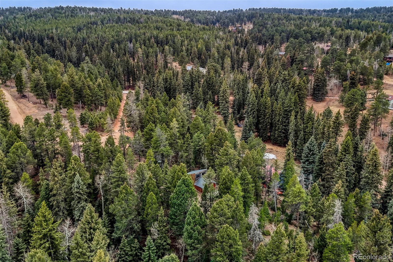 MLS Image #9 for 12096  elk trail road,conifer, Colorado