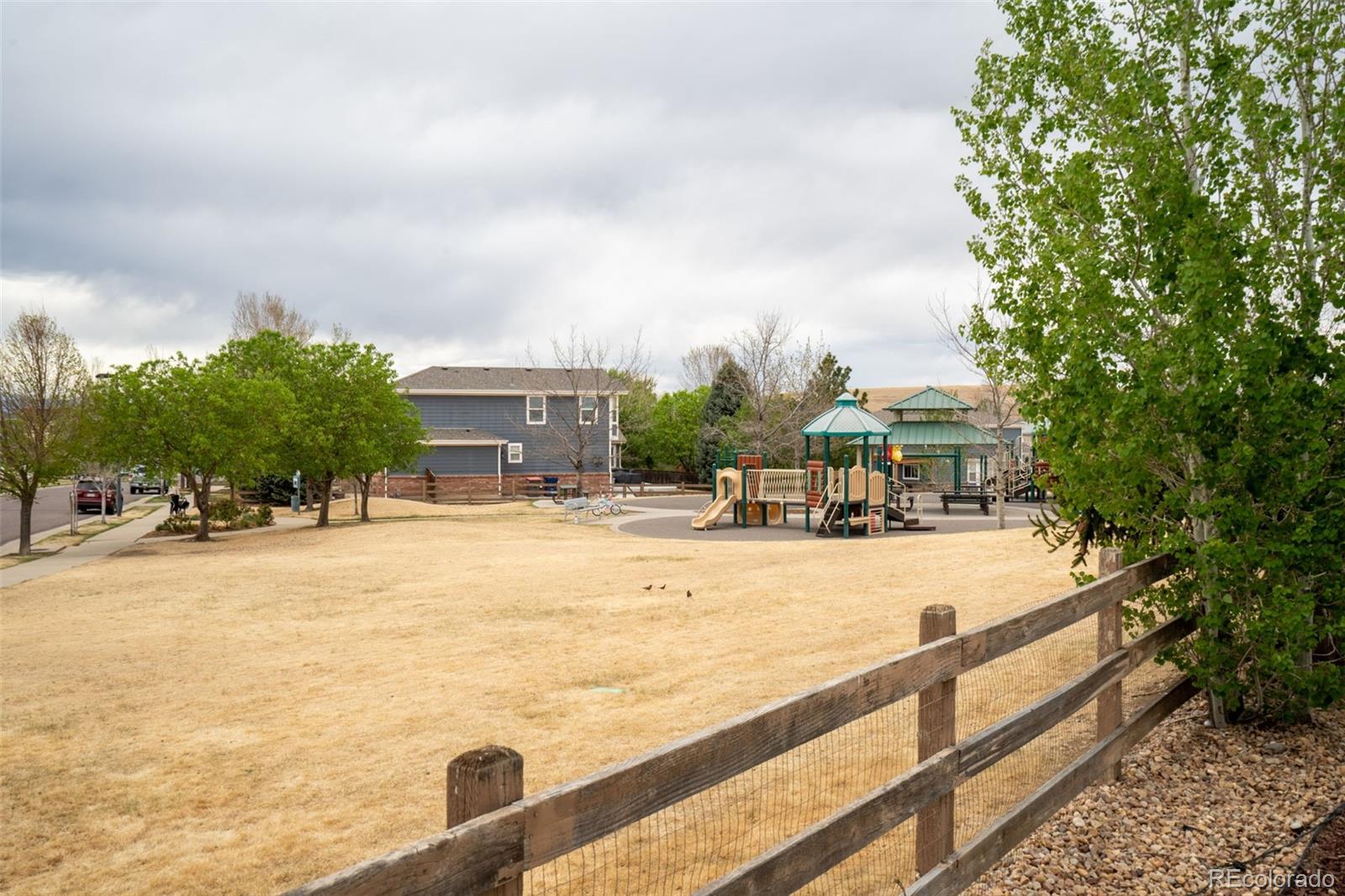 MLS Image #44 for 1435  cherry place,erie, Colorado