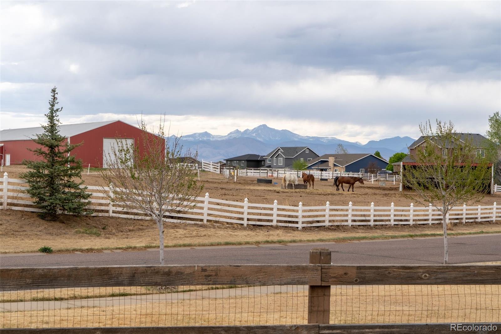 MLS Image #49 for 1435  cherry place,erie, Colorado