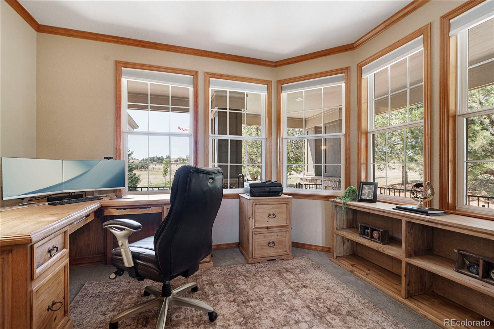 MLS Image #12 for 47098  frasier fir circle,parker, Colorado