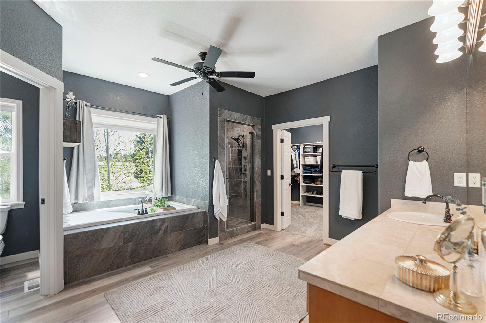 MLS Image #16 for 47098  frasier fir circle,parker, Colorado