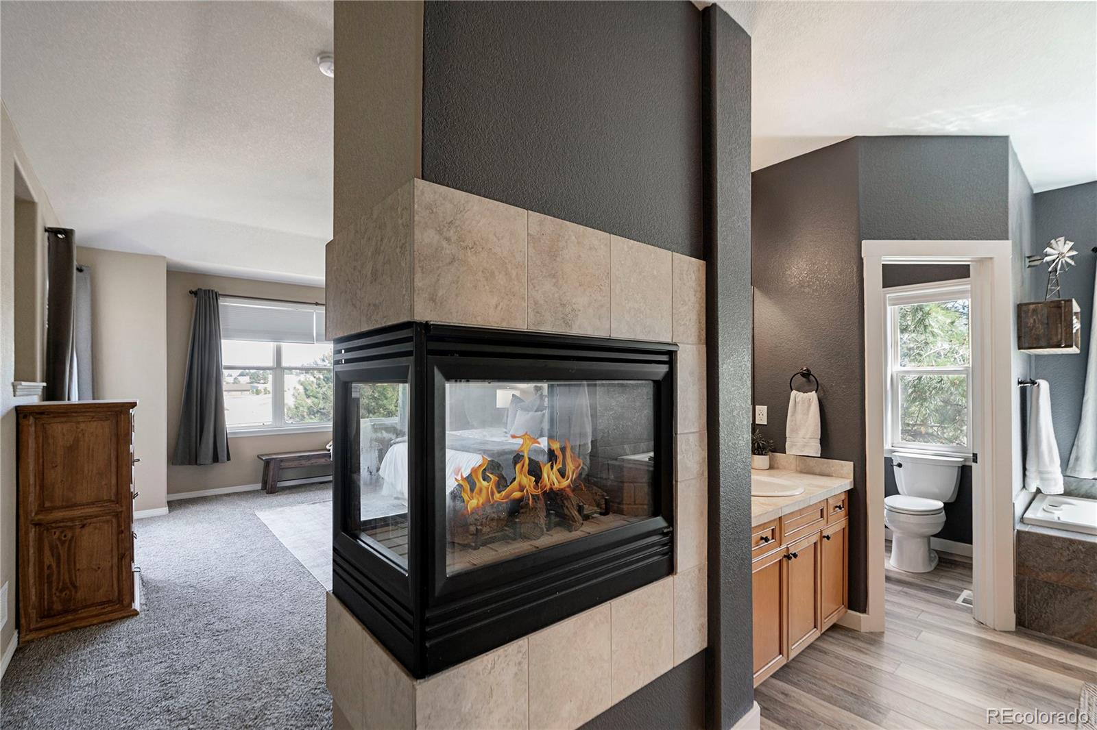 MLS Image #17 for 47098  frasier fir circle,parker, Colorado