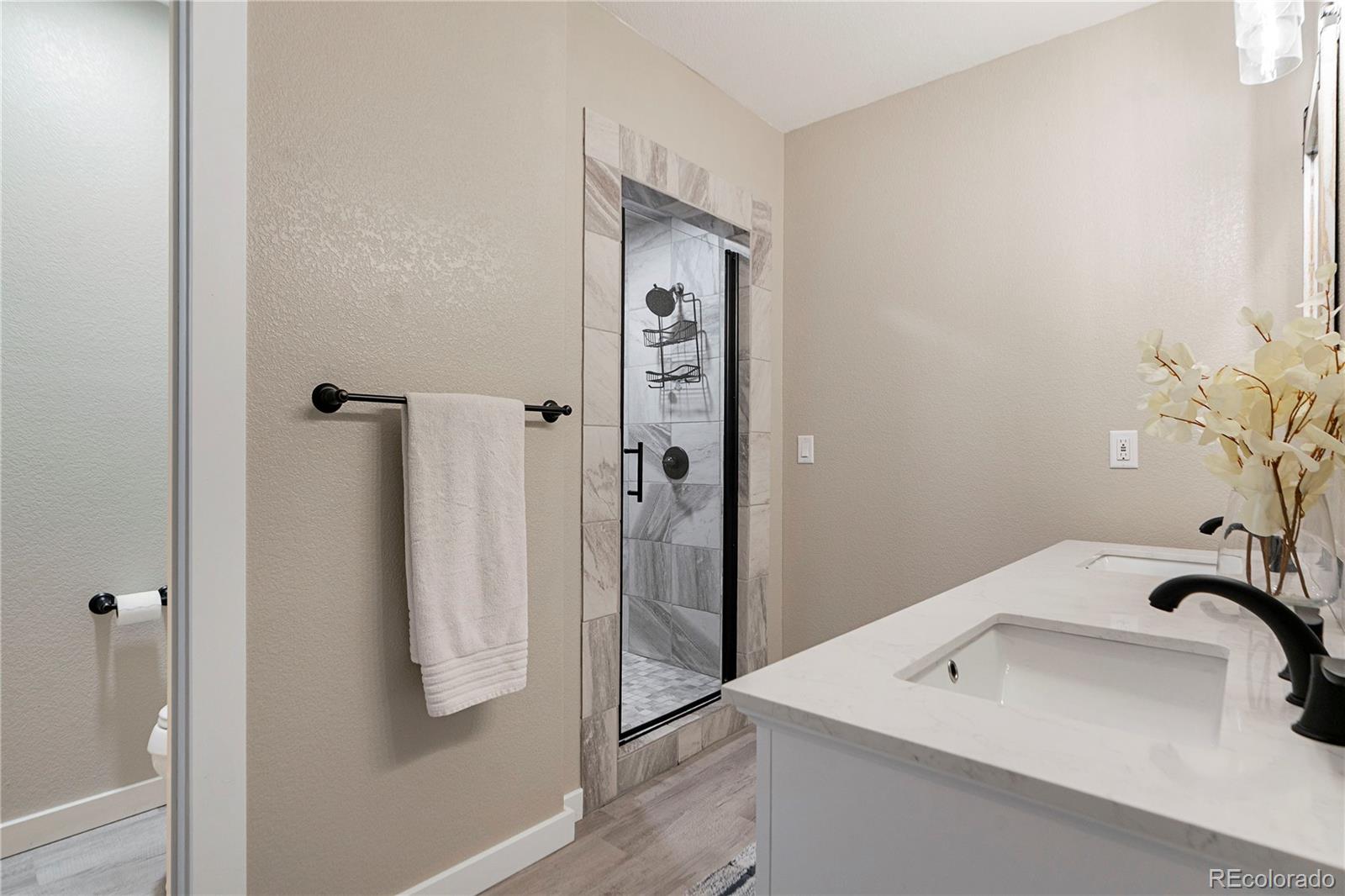 MLS Image #27 for 47098  frasier fir circle,parker, Colorado