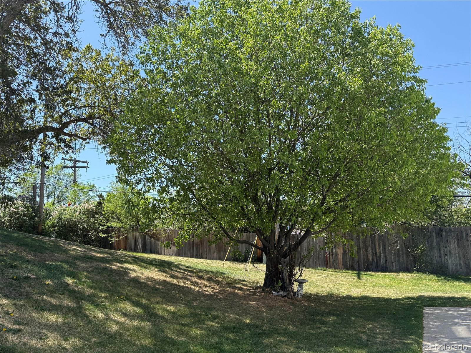 MLS Image #1 for 3003 e fountain boulevard ,colorado springs, Colorado