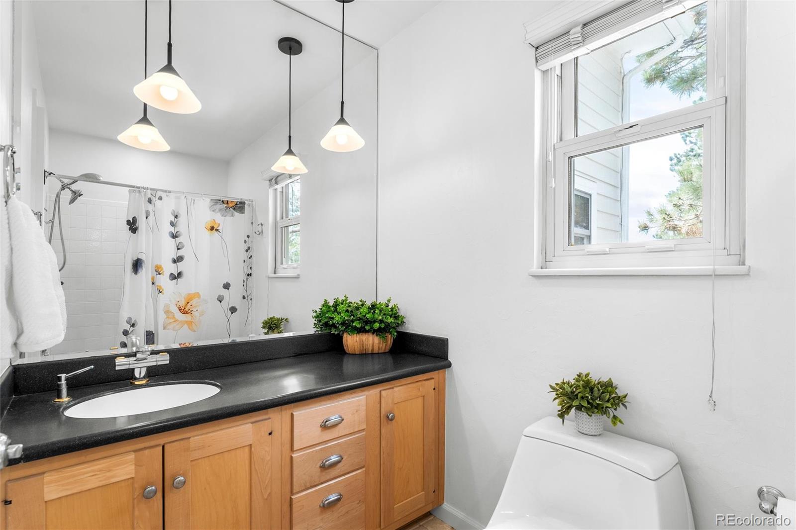 MLS Image #24 for 6379 s jasmine way,centennial, Colorado