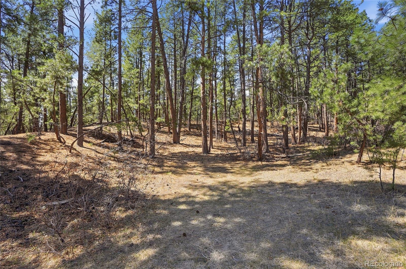 MLS Image #34 for 11044  conestoga place,franktown, Colorado