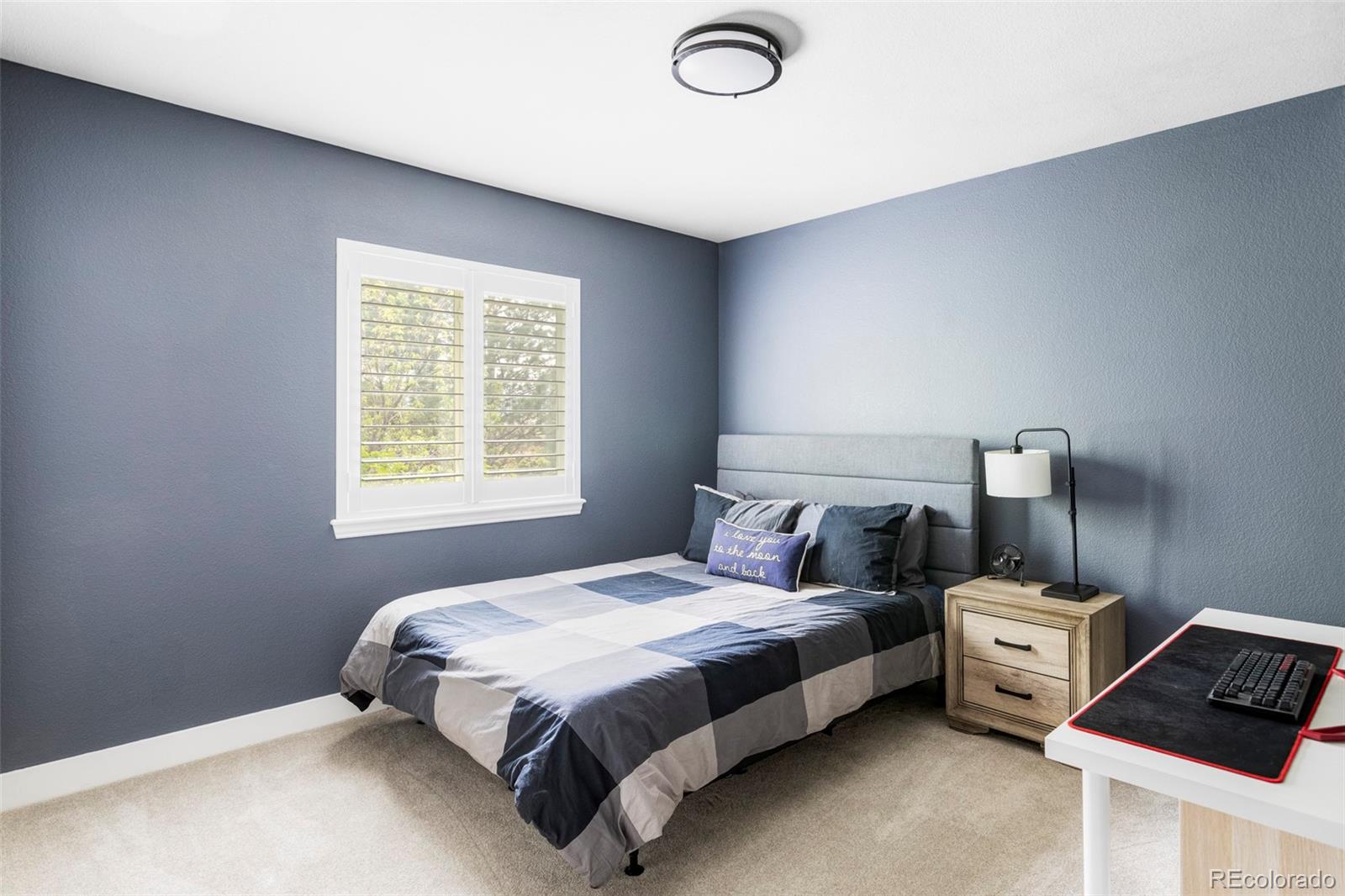 MLS Image #24 for 9231  aspen creek way,highlands ranch, Colorado