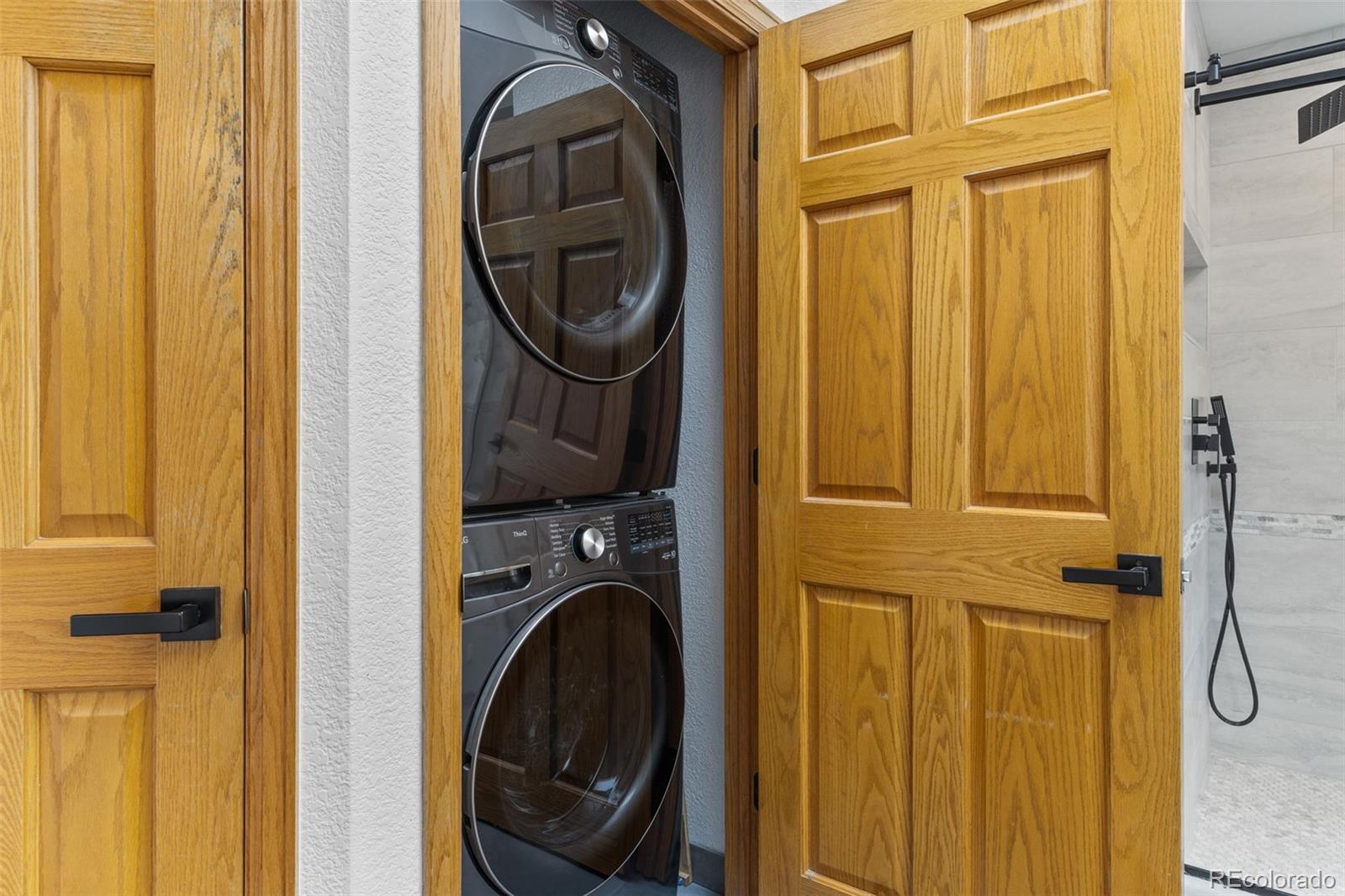 MLS Image #10 for 30281  peggy lane,evergreen, Colorado