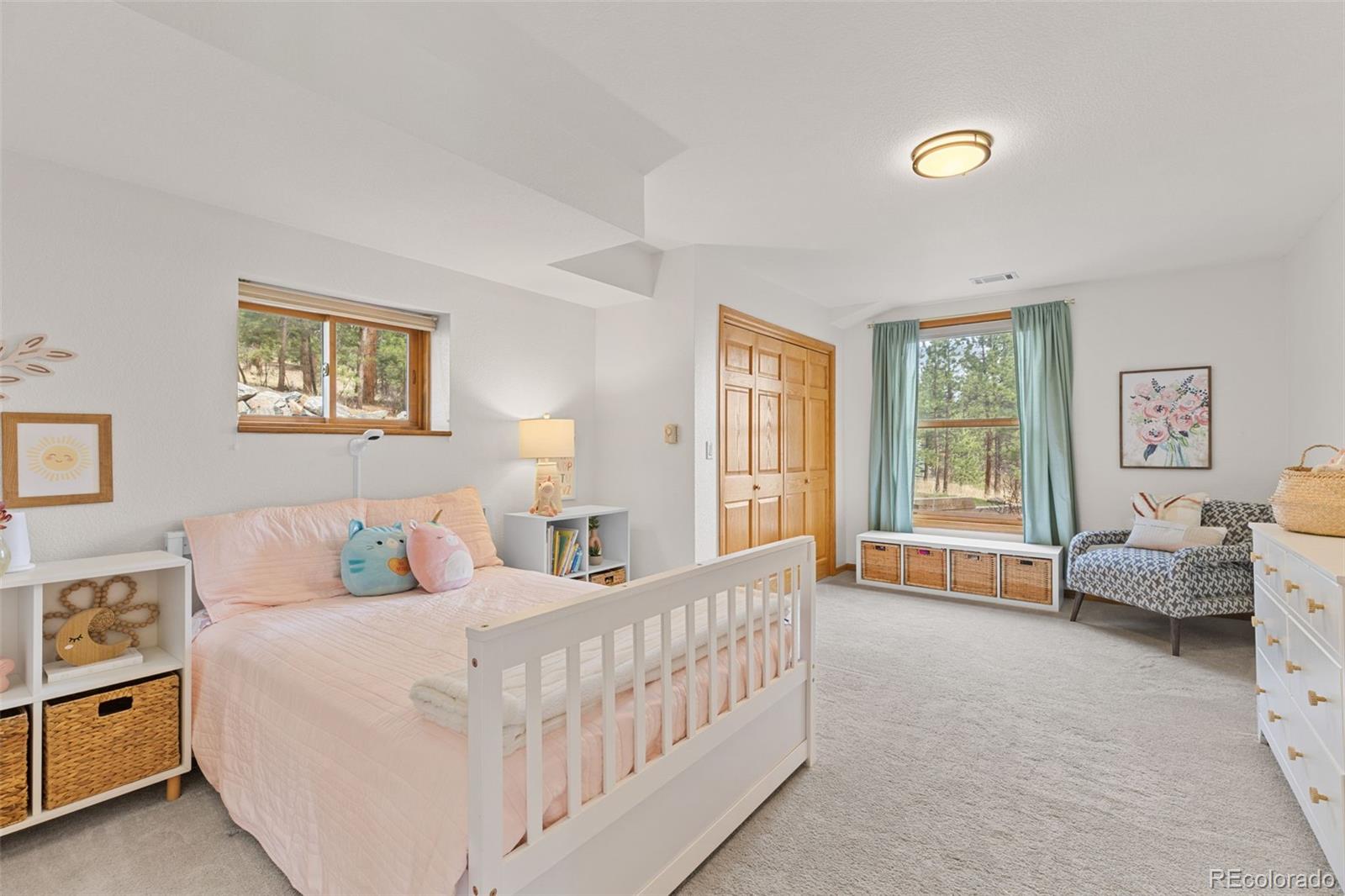 MLS Image #17 for 30281  peggy lane,evergreen, Colorado