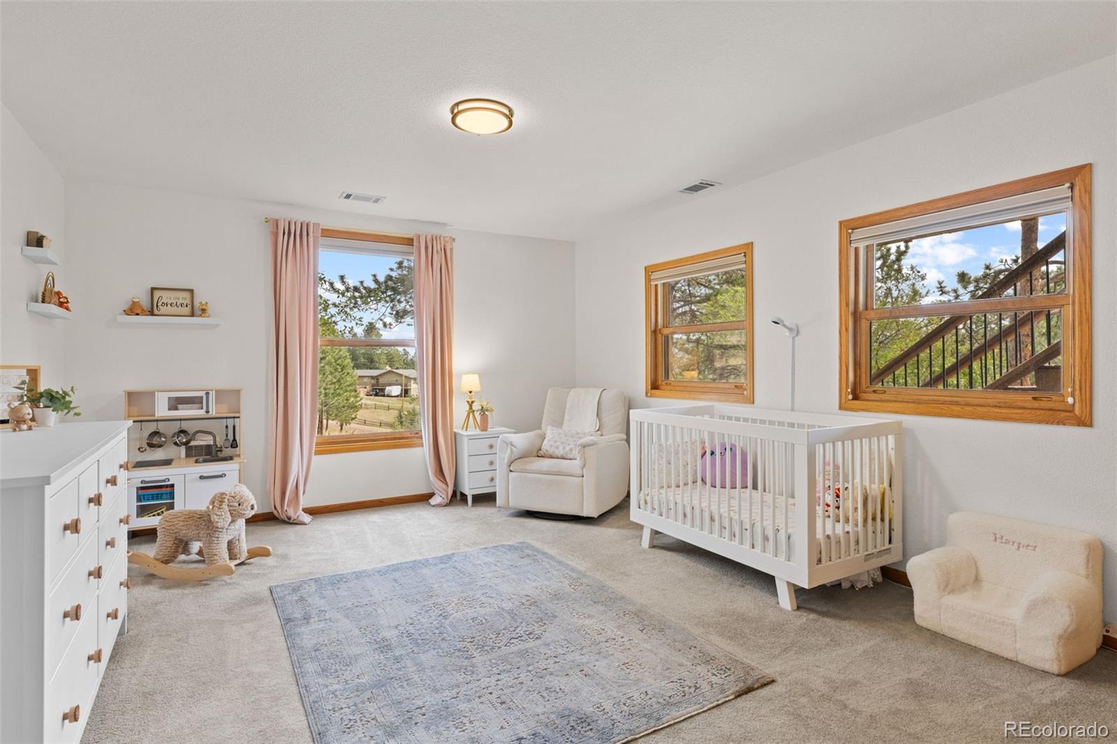 MLS Image #19 for 30281  peggy lane,evergreen, Colorado