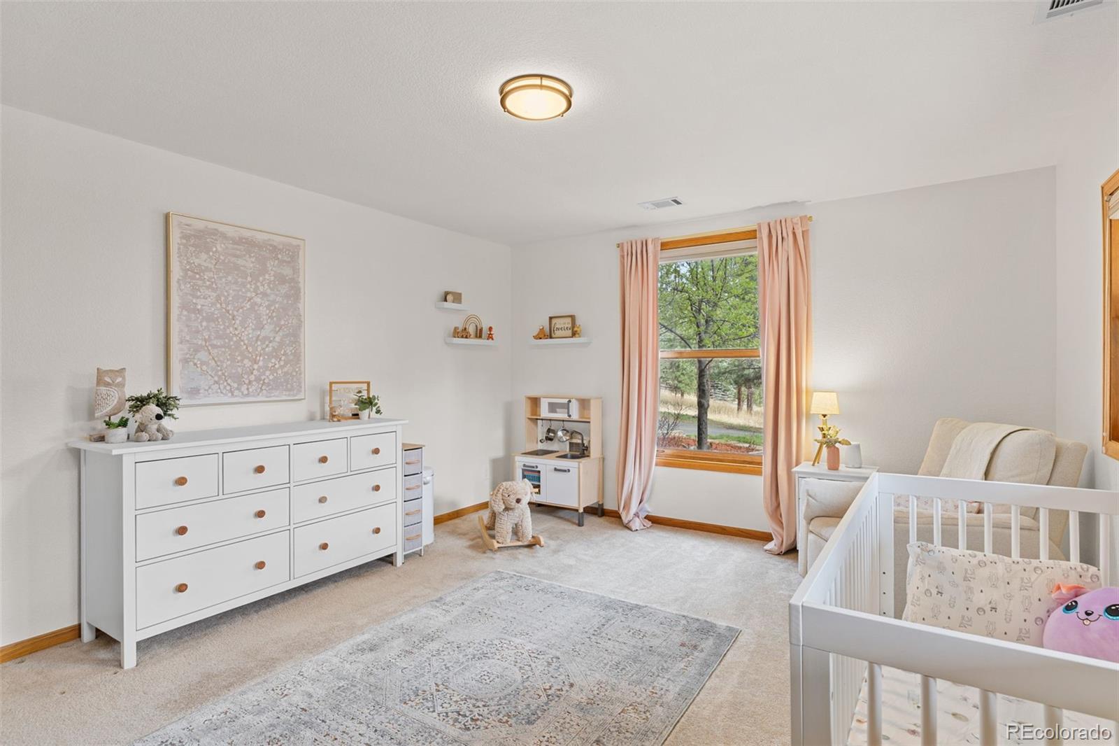 MLS Image #20 for 30281  peggy lane,evergreen, Colorado