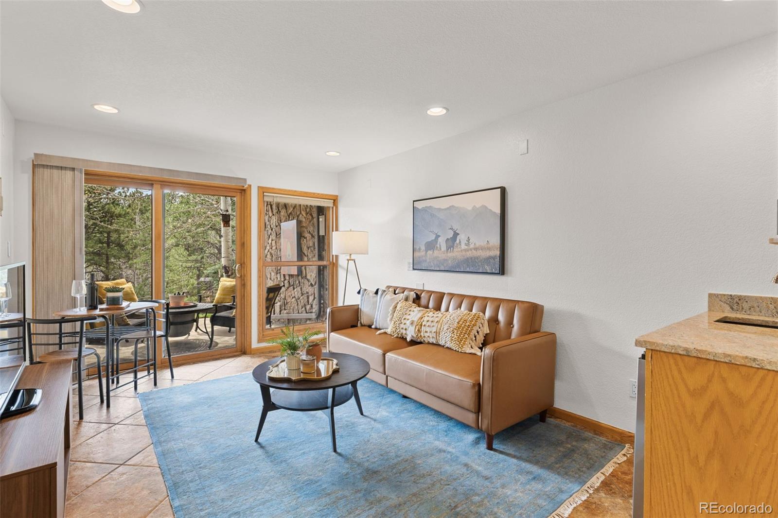 MLS Image #21 for 30281  peggy lane,evergreen, Colorado