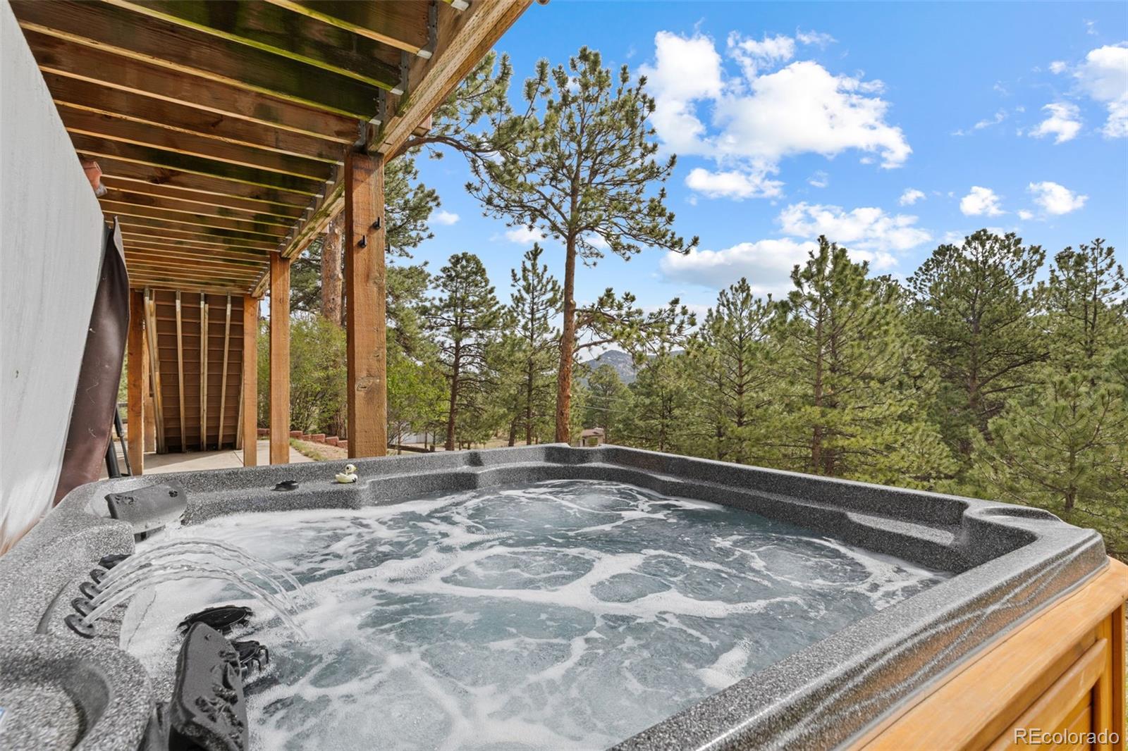 MLS Image #26 for 30281  peggy lane,evergreen, Colorado