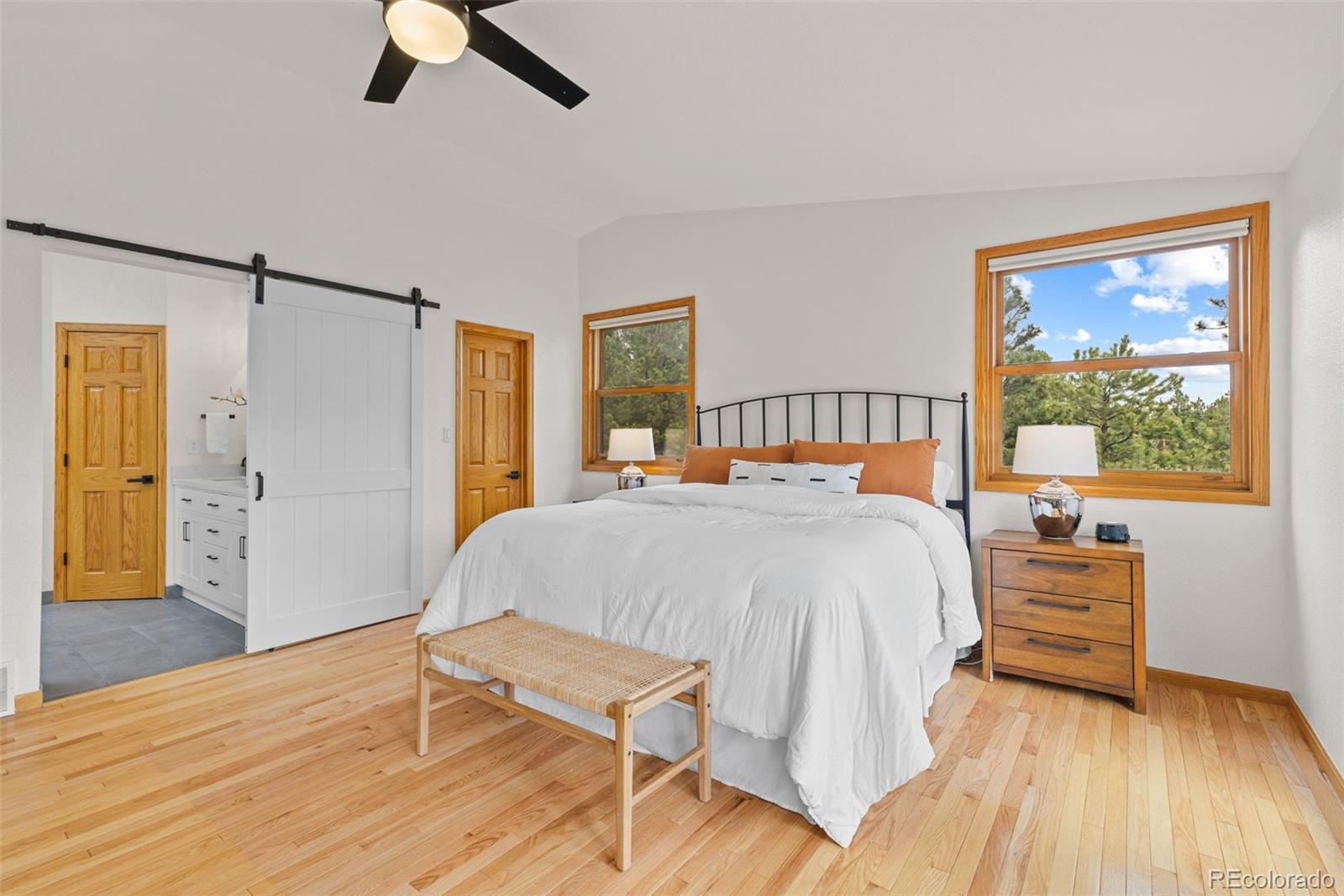 MLS Image #34 for 30281  peggy lane,evergreen, Colorado