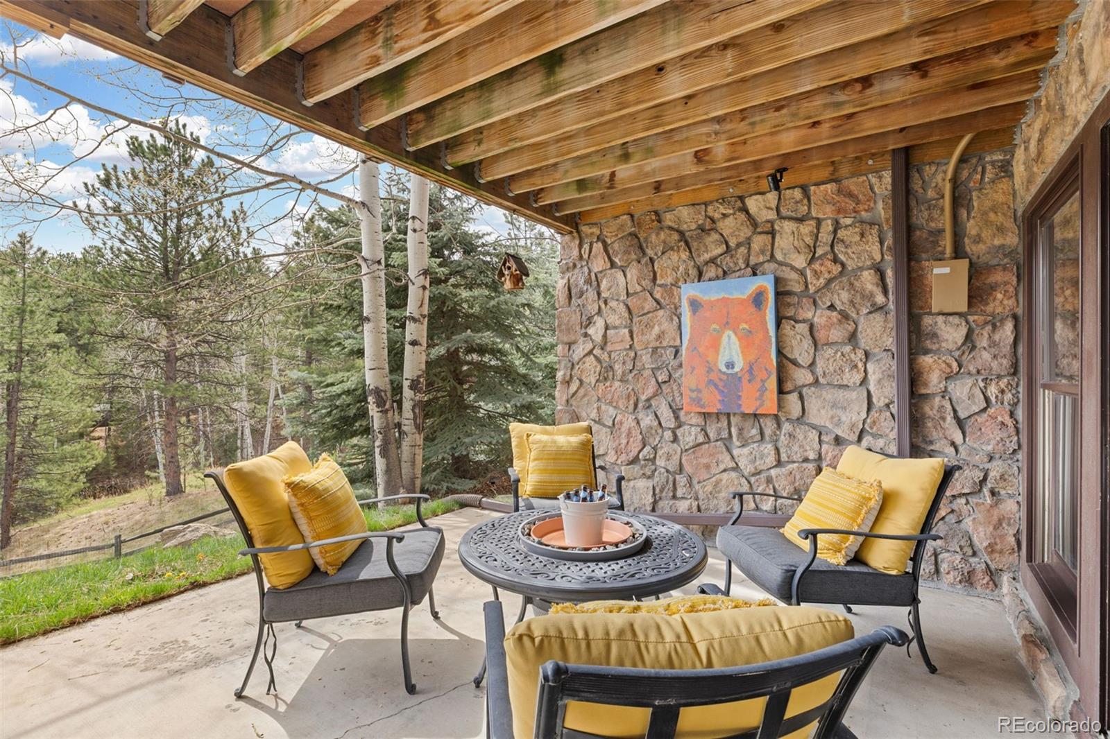 MLS Image #37 for 30281  peggy lane,evergreen, Colorado