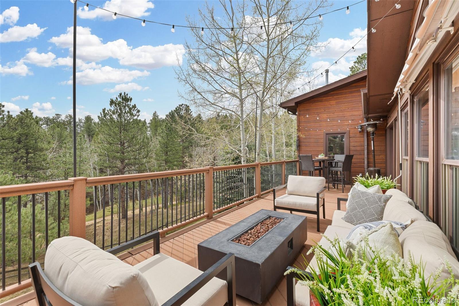 MLS Image #41 for 30281  peggy lane,evergreen, Colorado