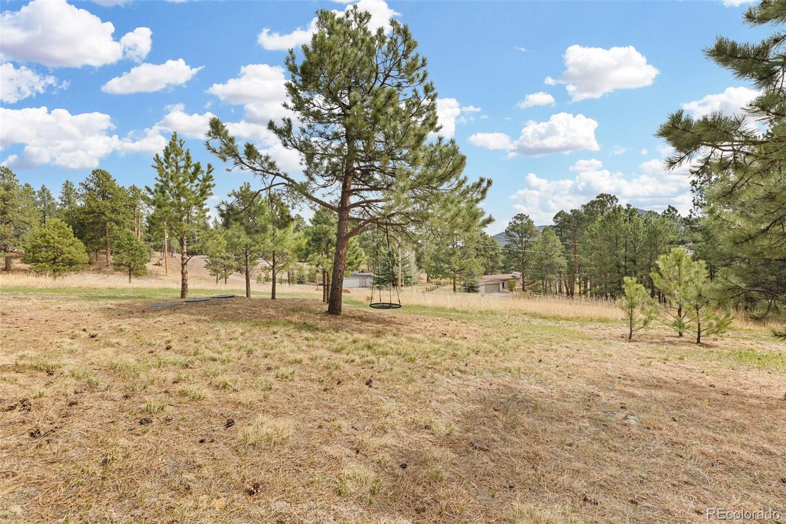 MLS Image #43 for 30281  peggy lane,evergreen, Colorado