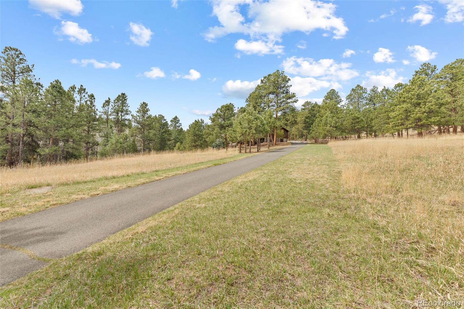 MLS Image #44 for 30281  peggy lane,evergreen, Colorado