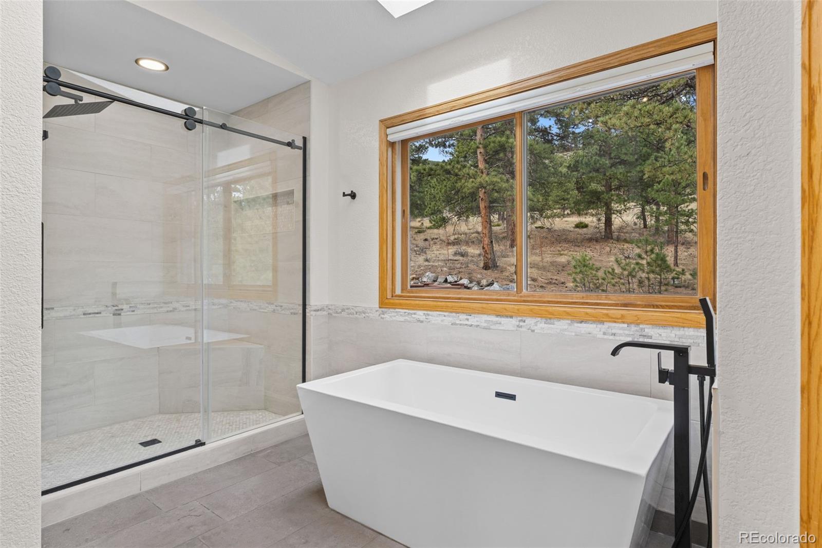 MLS Image #9 for 30281  peggy lane,evergreen, Colorado