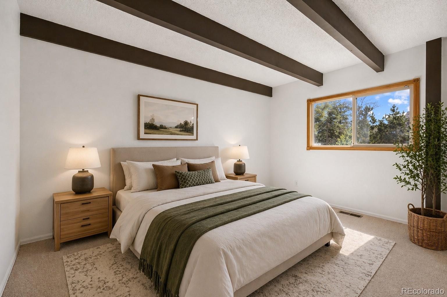 MLS Image #19 for 5950  shavano place,parker, Colorado