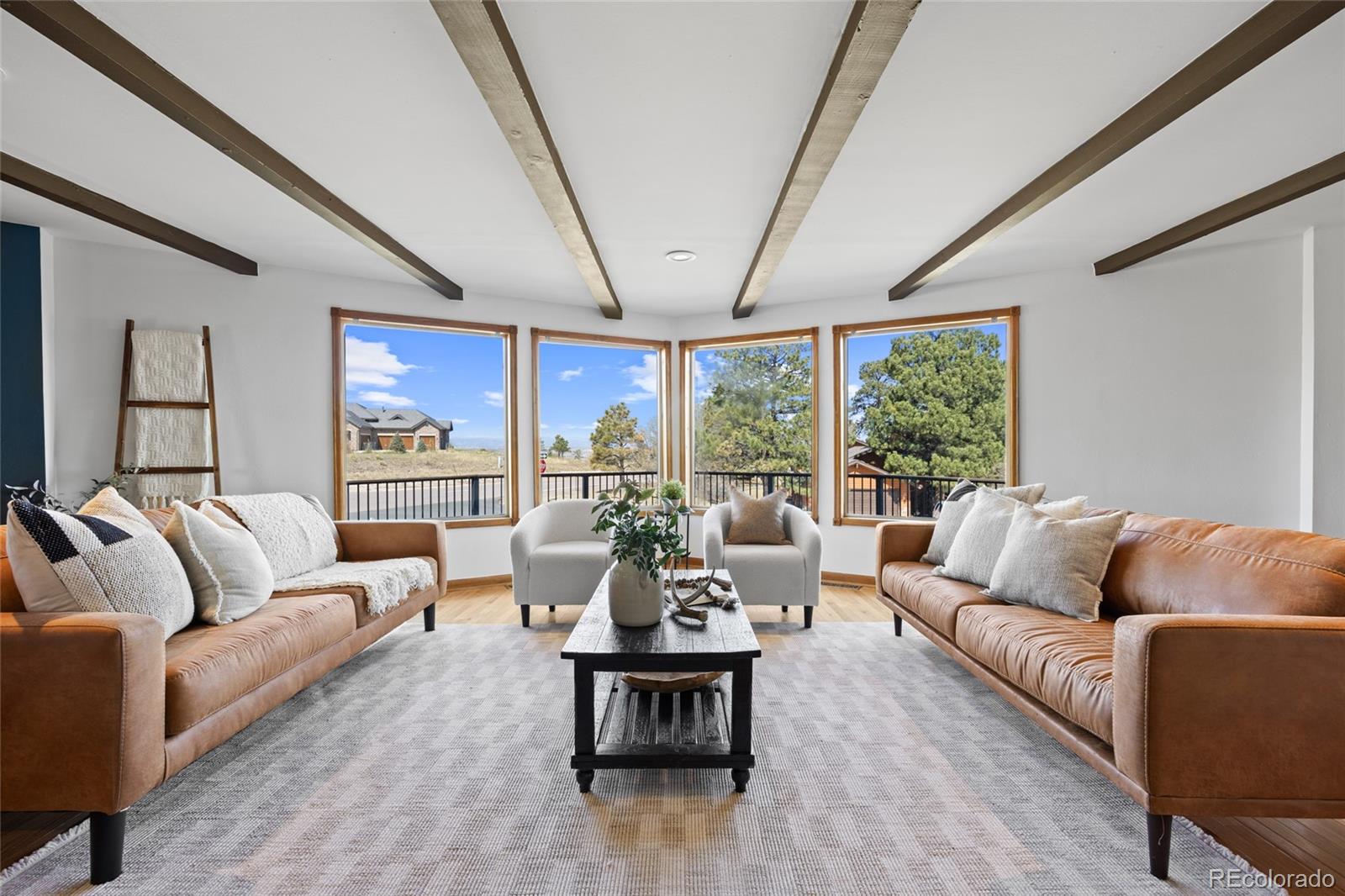 MLS Image #3 for 5950  shavano place,parker, Colorado