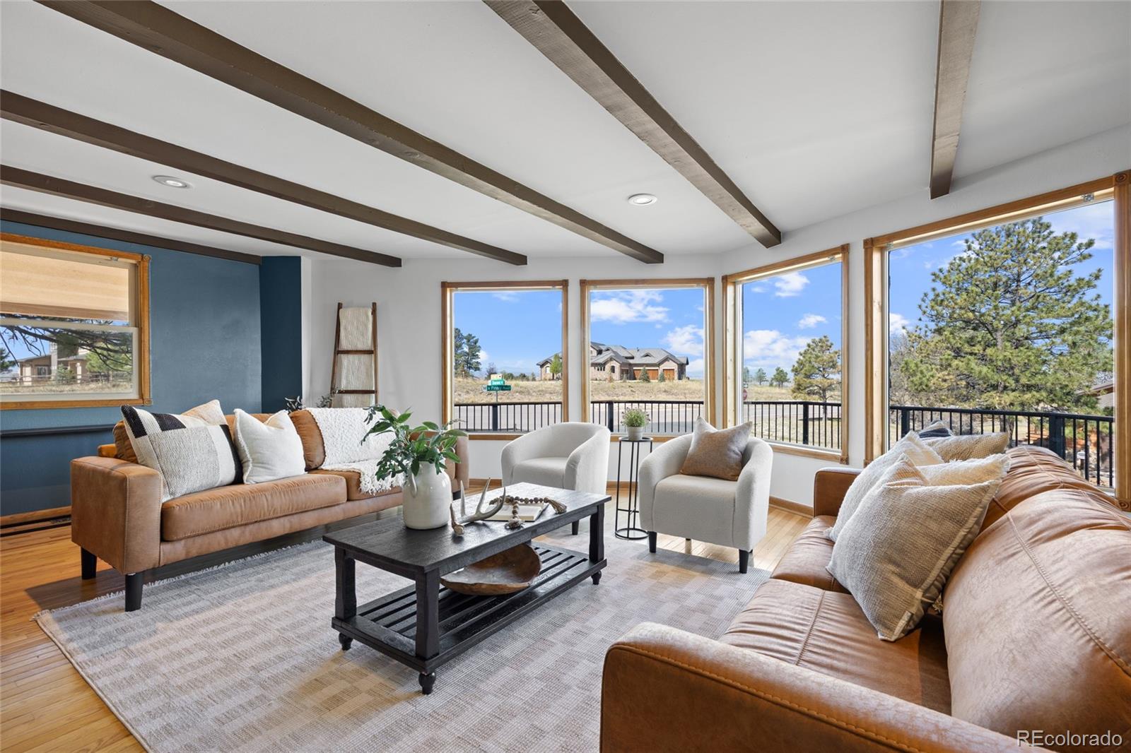 MLS Image #4 for 5950  shavano place,parker, Colorado