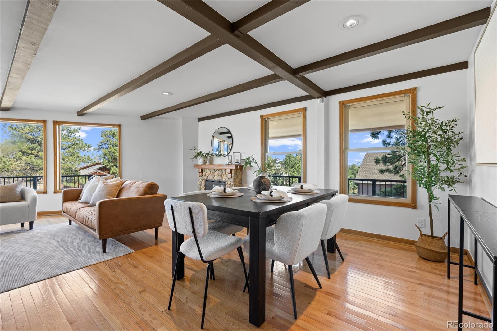 MLS Image #9 for 5950  shavano place,parker, Colorado