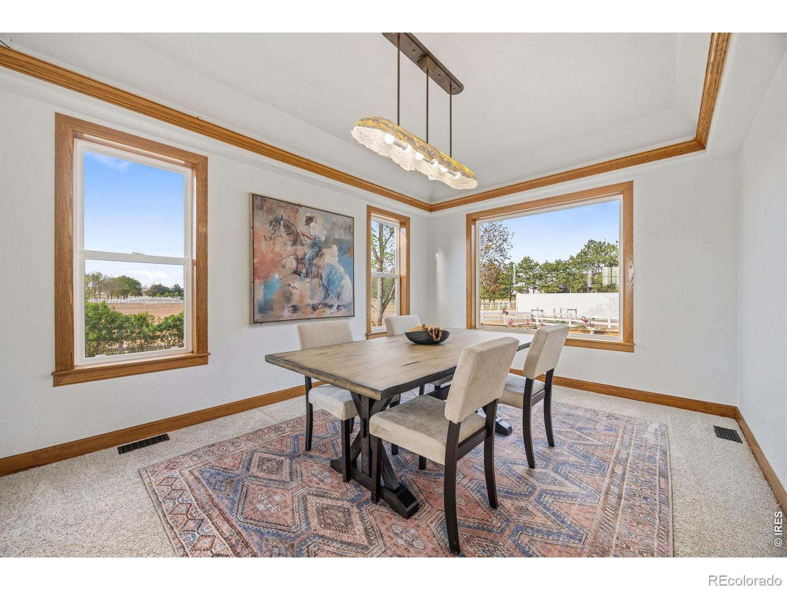 MLS Image #12 for 880 e highway 56 ,berthoud, Colorado