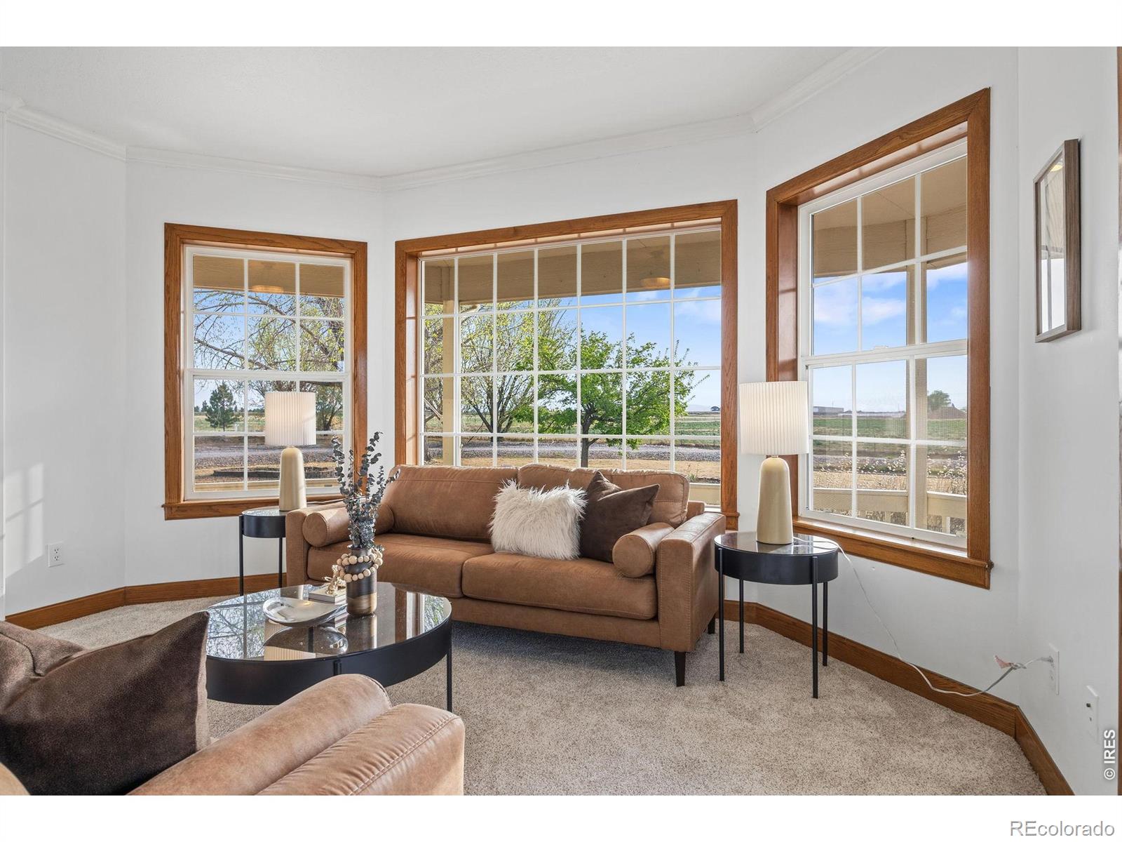 MLS Image #14 for 880 e highway 56 ,berthoud, Colorado