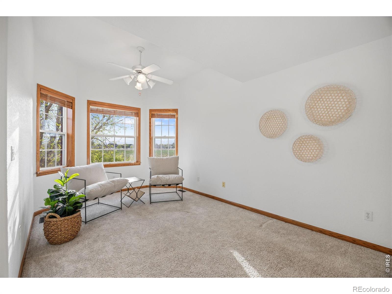 MLS Image #22 for 880 e highway 56 ,berthoud, Colorado