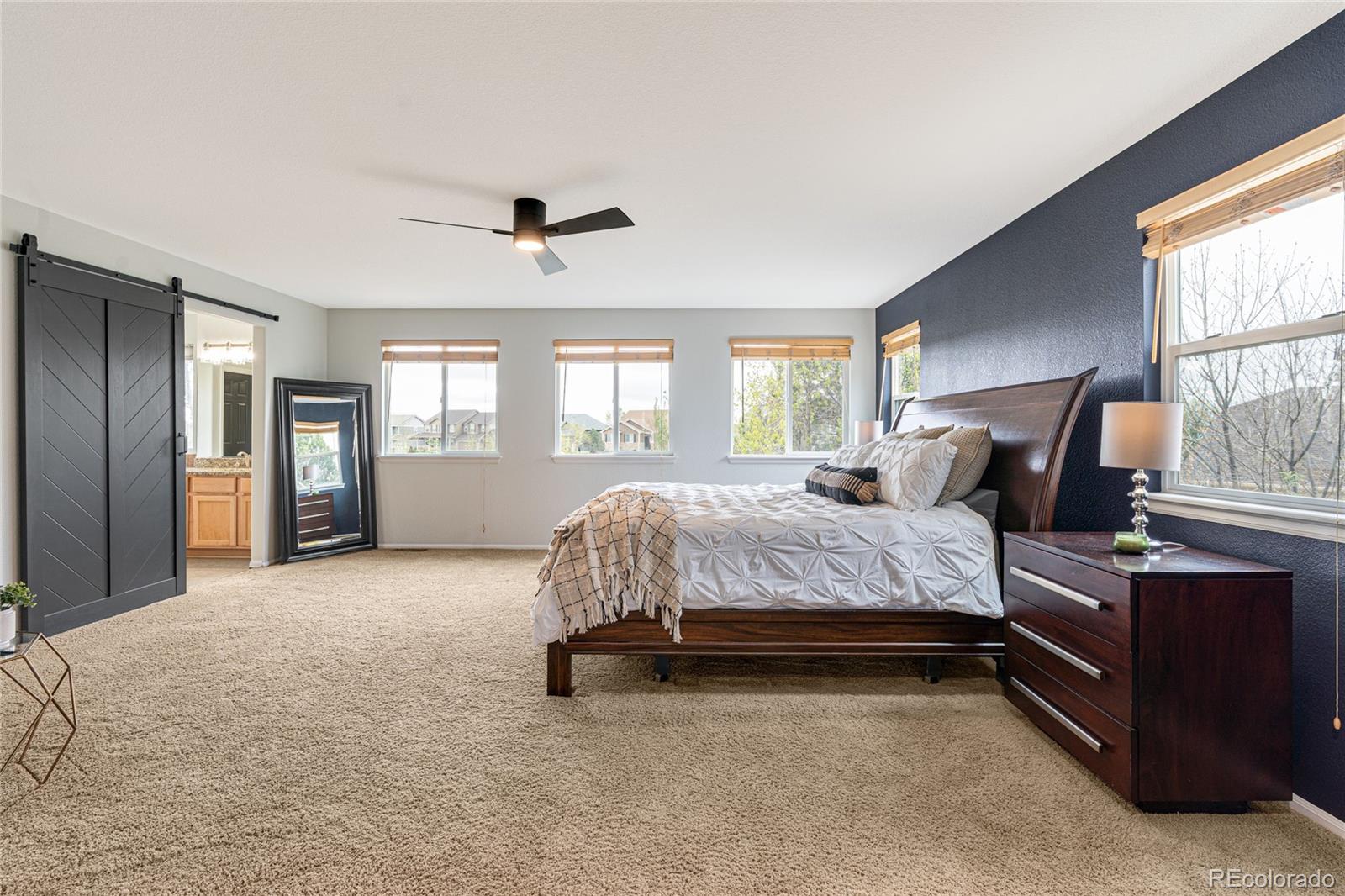 MLS Image #15 for 15714 e buffalo gap lane,parker, Colorado