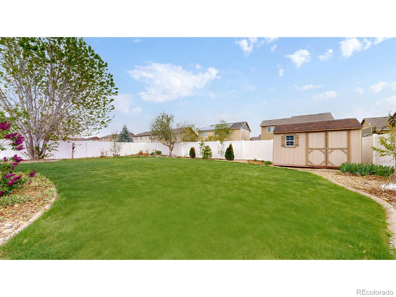 MLS Image #25 for 313  telluride drive,windsor, Colorado