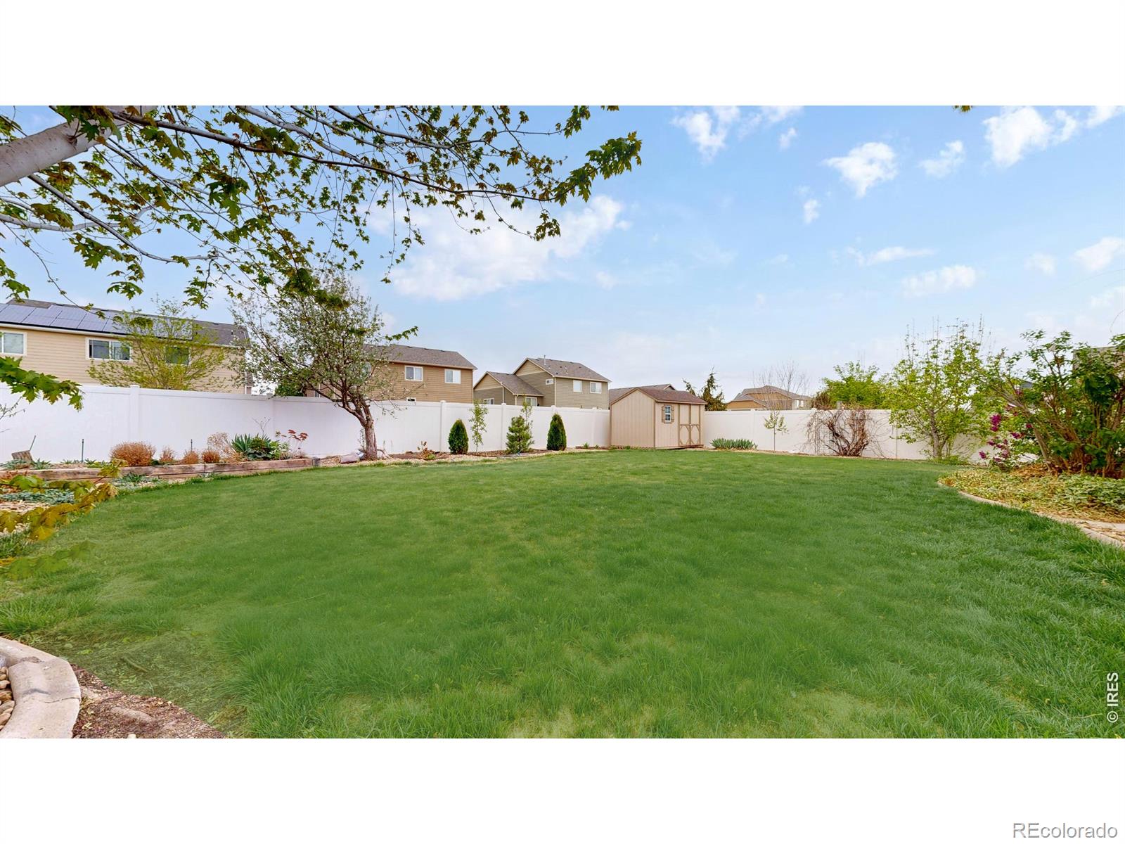 MLS Image #26 for 313  telluride drive,windsor, Colorado