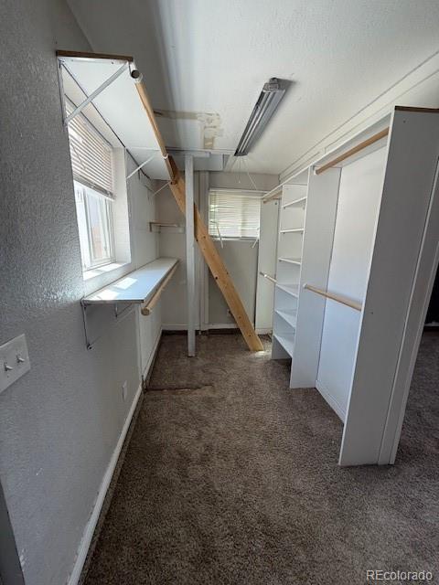 MLS Image #24 for 231  elm street,lochbuie, Colorado