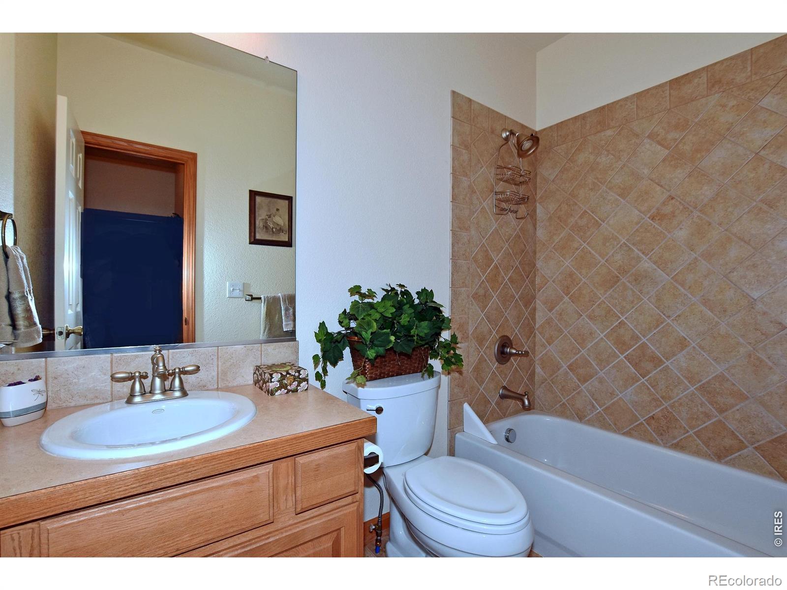 MLS Image #34 for 1047  canal drive,windsor, Colorado