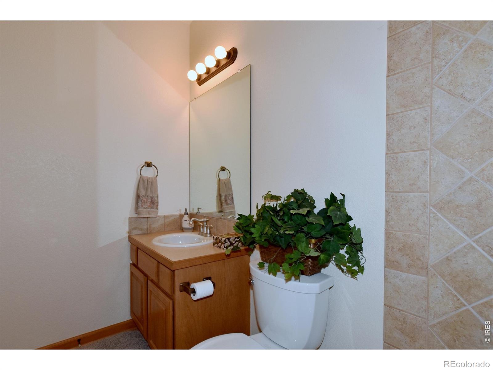 MLS Image #35 for 1047  canal drive,windsor, Colorado
