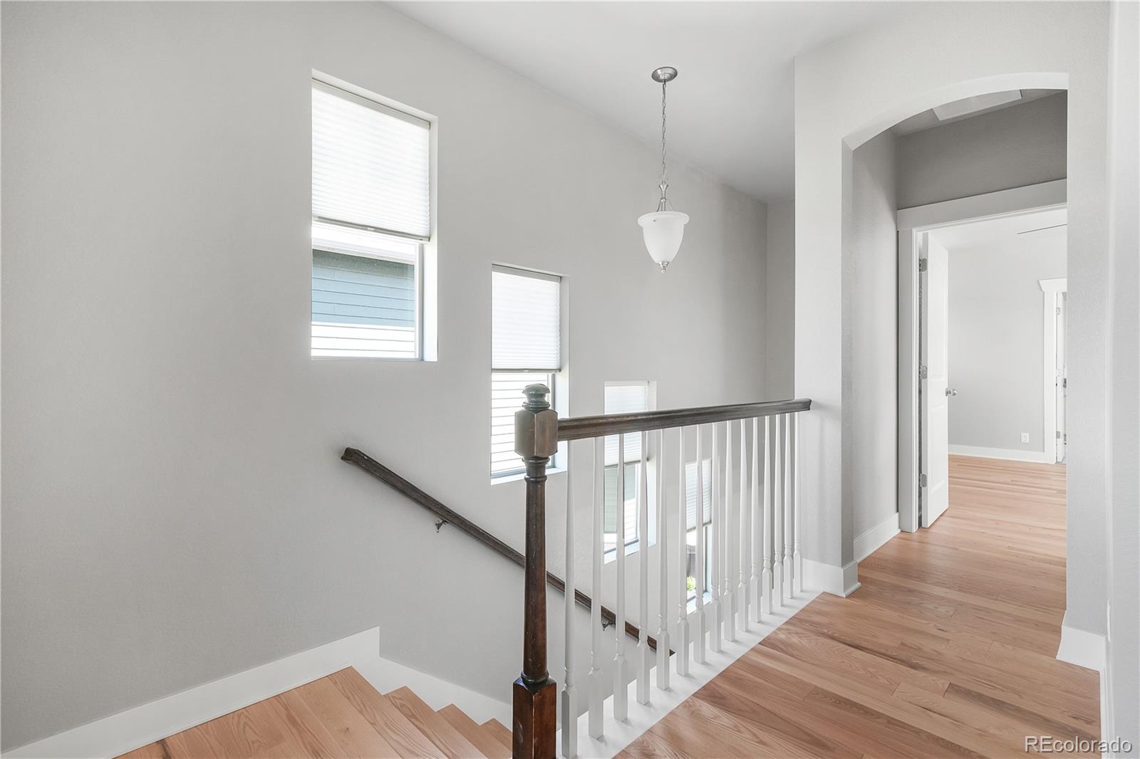 MLS Image #13 for 4944  wabash street,denver, Colorado