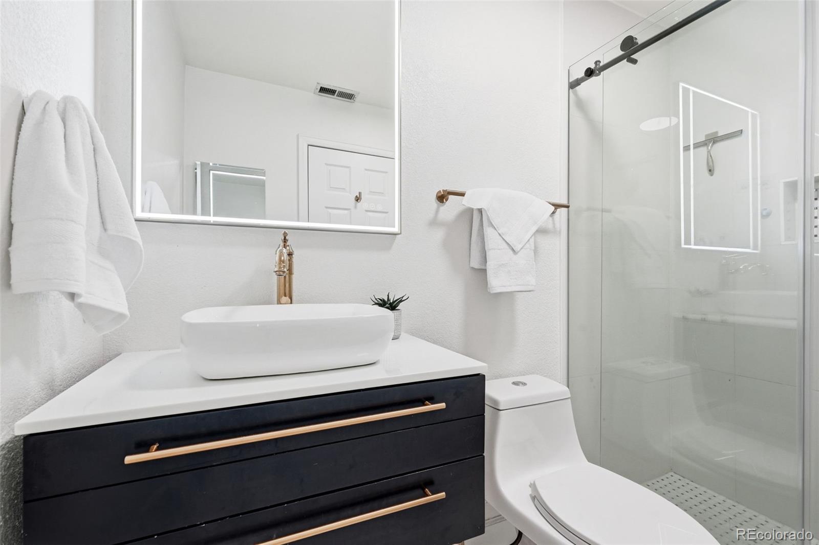MLS Image #11 for 3937  zuni street,denver, Colorado