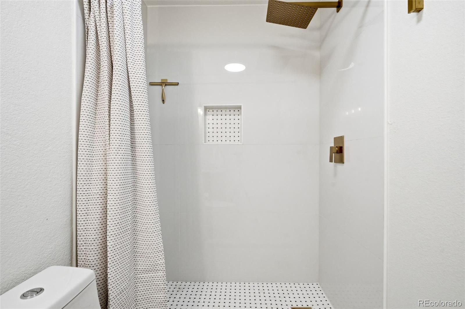 MLS Image #17 for 3937  zuni street,denver, Colorado