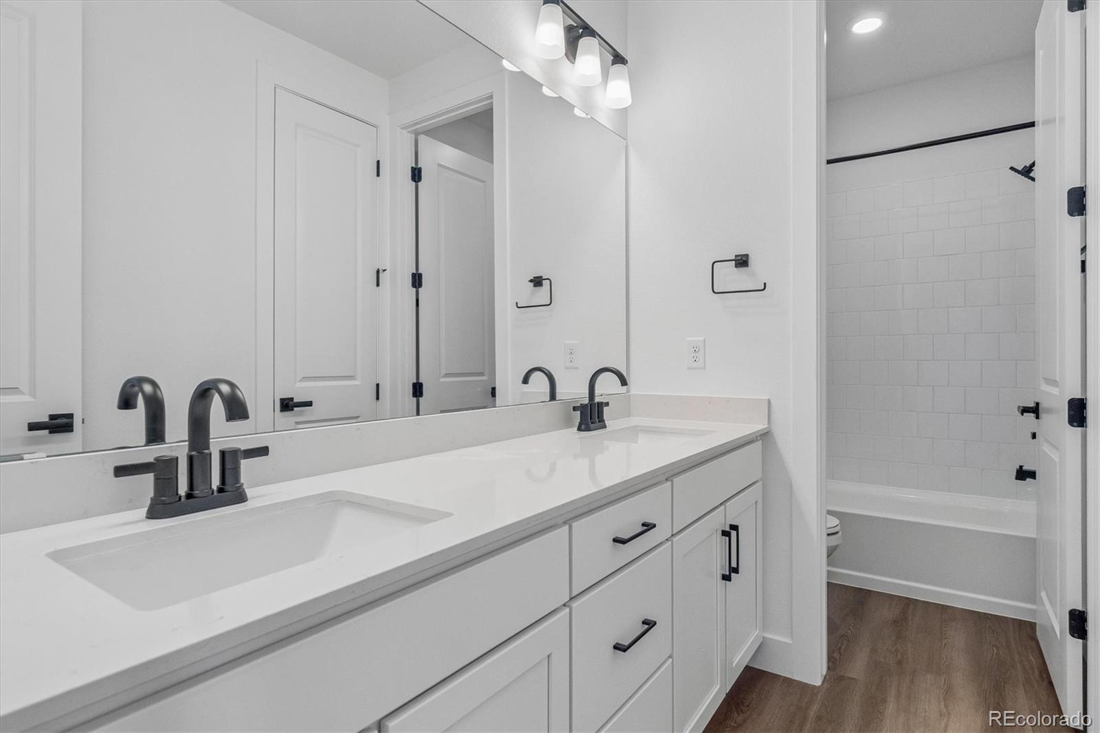 MLS Image #13 for 8609  yellowcress street,littleton, Colorado