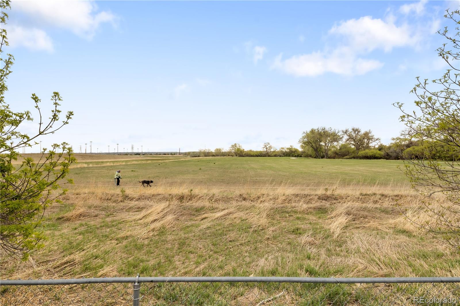 MLS Image #32 for 6100  crestone street,golden, Colorado