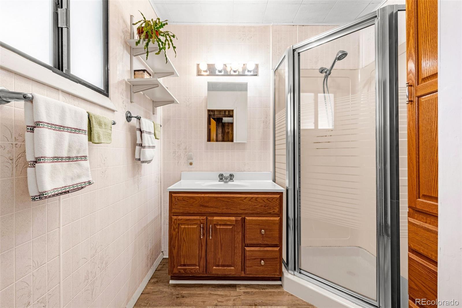 MLS Image #12 for 223 w golden avenue,cripple creek, Colorado