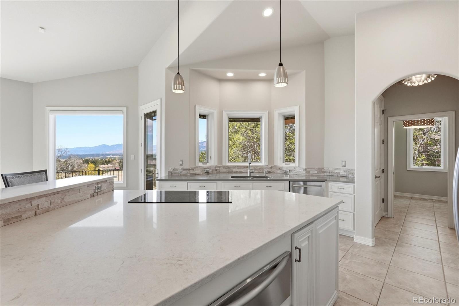 MLS Image #8 for 165  mission hill way,colorado springs, Colorado