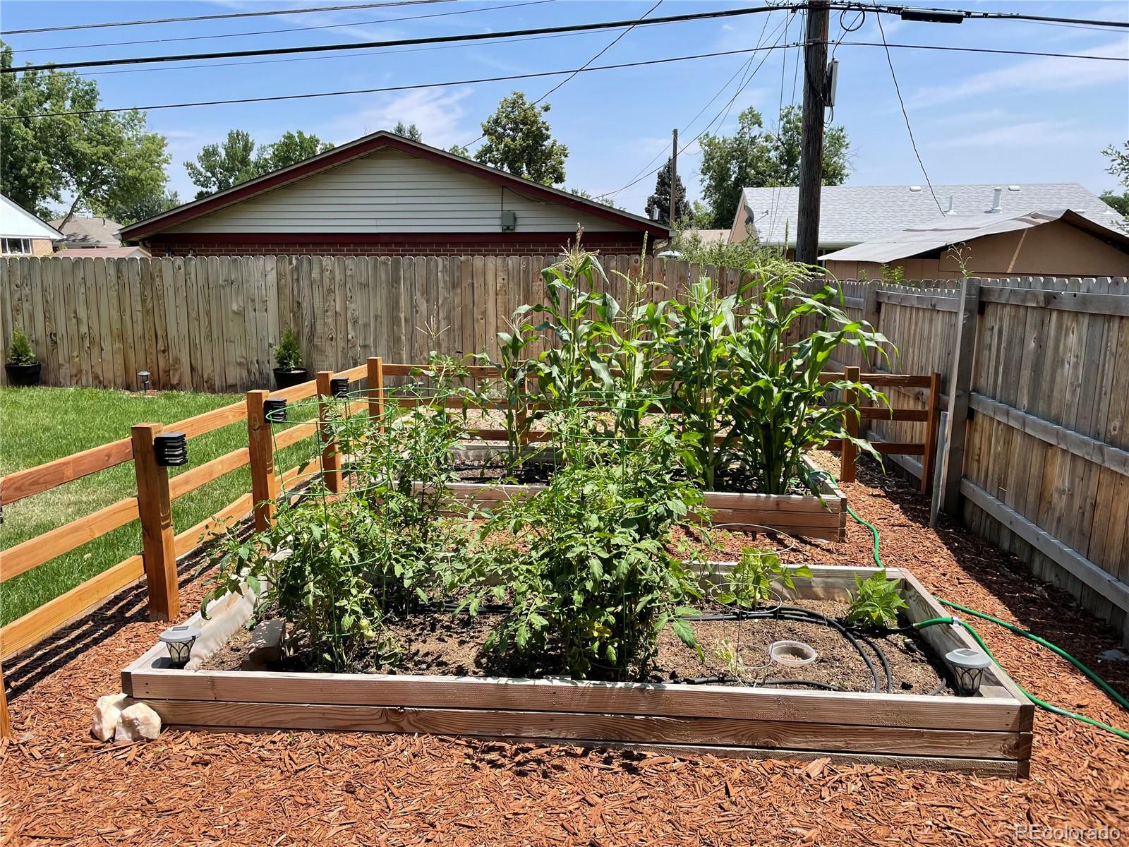 MLS Image #32 for 7690  tejon street,denver, Colorado