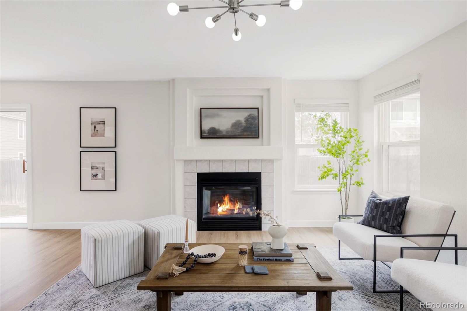 MLS Image #11 for 13333  elizabeth court,thornton, Colorado