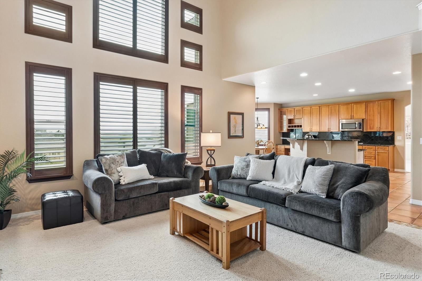 MLS Image #19 for 1755  peninsula circle,castle rock, Colorado
