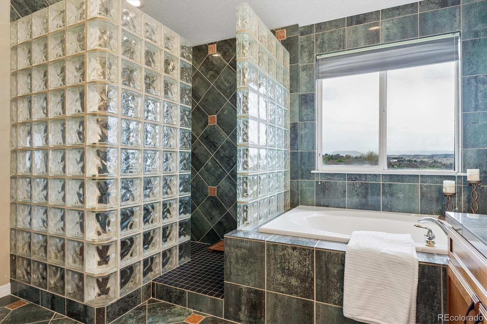 MLS Image #31 for 1755  peninsula circle,castle rock, Colorado